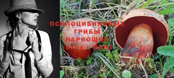 прущая мука Осташков