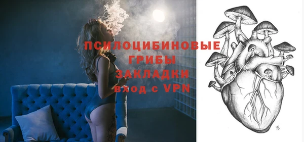 прущая мука Осташков
