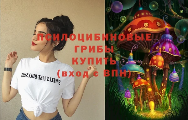 прущая мука Осташков