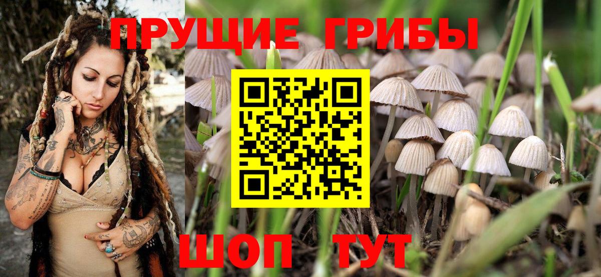 Канаш  где купить наркоту  Вход с VPN  Галлюциногенные грибы GOLDEN TEACHER 