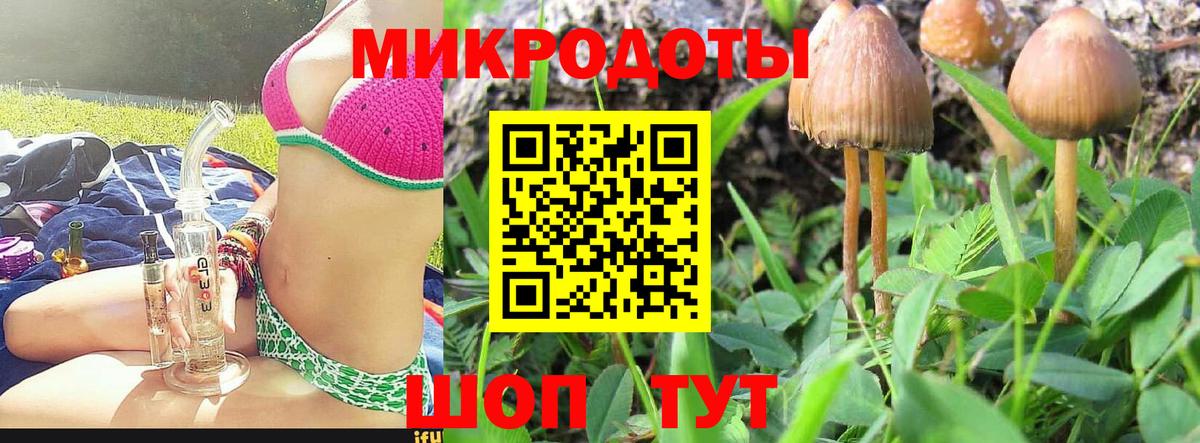 Галлюциногенные грибы мухоморы Канаш
