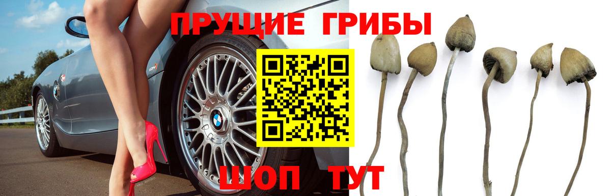 Меф  Канаш  Alpha PVP  Бошки Шишки  Вход с VPN  Хэш  КОКАИН  Гашик  Лсд 25 