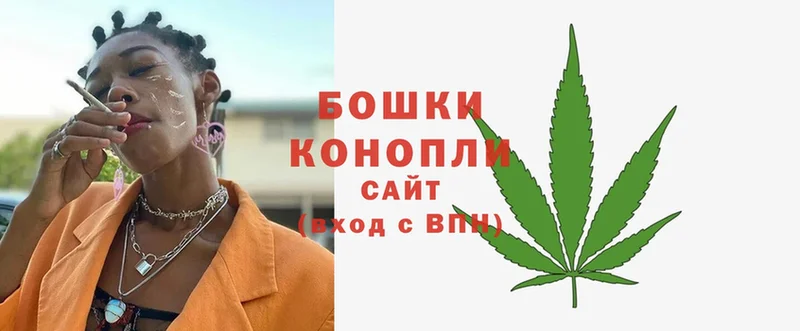 Конопля THC 21%  маркетплейс официальный сайт  Канаш 